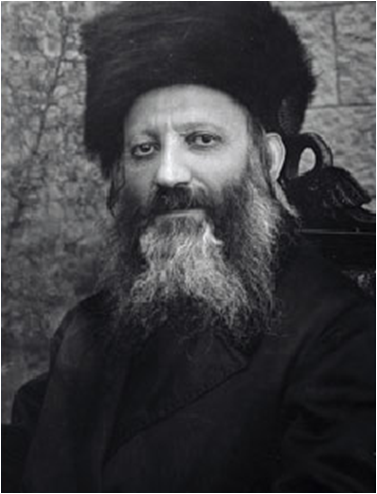 הרב קוק