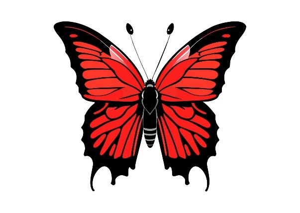 כוחנו באחדותנו - תנועת בני עקיבא בישראל