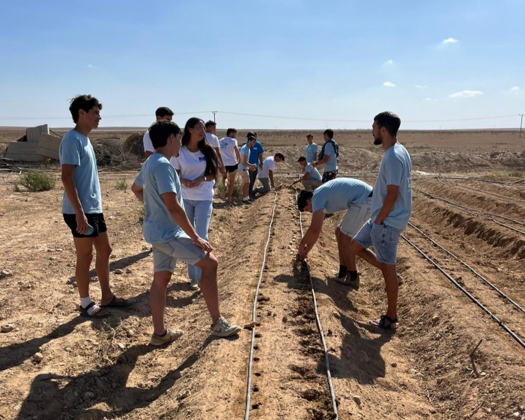 WhatsApp Image 2025-10-26 at 12.21.15