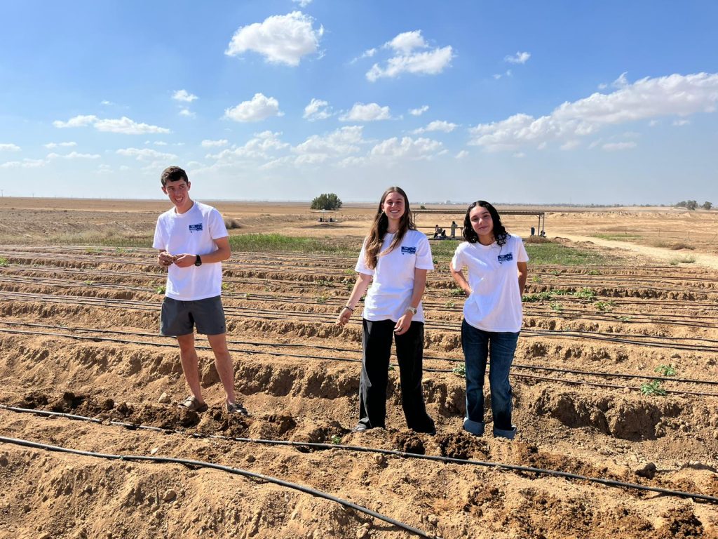 WhatsApp Image 2025-10-26 at 12.21.16 (1)